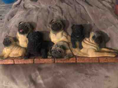 Danbury mint DISCONTINUED Pug wall hanging