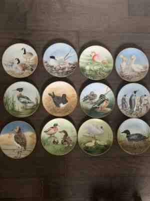 The Danbury Mint 12 Waterbird Plates by Eric Tenney Summer Collection Full Set