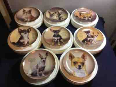 Danbury Mint Cherished Chihuahuas Plates Limited Edition All 8 C475