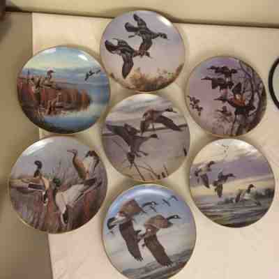 Lot of 7 Danbury Mint Ducks Taking Flight Collector Plates by David Maass FS!