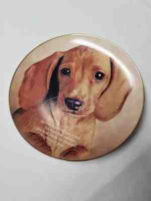 Cherished Dachshunds EYES OF LOVE Collector Plate Danbury Mint Plate No. D3369