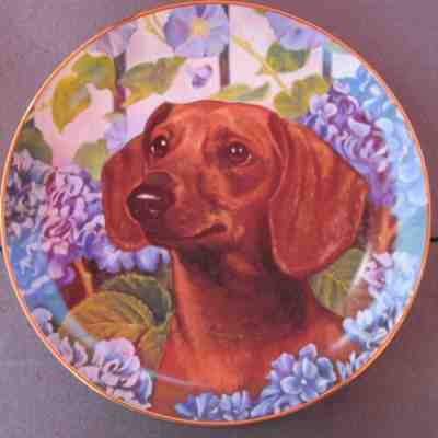 "Bright Eyes" Dachshund Collector Plate by Christopher Nick for Danbury Mint