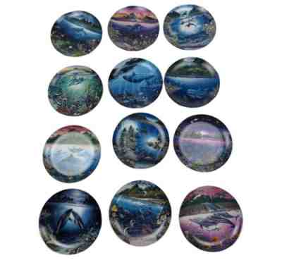 Underwater Paradise Robert Lyn Nelson Collector Plates Danbury set of 12 COA