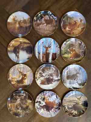 1992 Full Set Danbury Mint (12) PRIDE OF THE WILDERNESS DEER PLATES Bob Travers