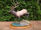 Danbury Mint The Monarchs of The Wilderness "The Crossing" Elk Sculpture