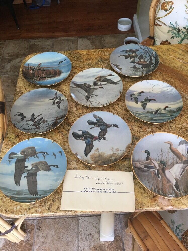 Authentic Set of 8 "DUCKS TAKING FLIGHT" BY DAVID MAASS THE DANBURY MINT