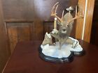 Rare Danbury Mint The Buck Of A Lifetime