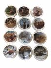 12 Danbury Mint porcelain Plate PRIDE OF THE WILDERNESS collection  Bob Travers
