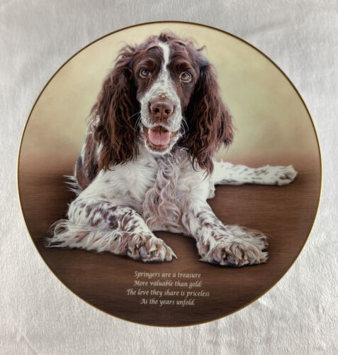 Cherished Springer Spaniels LOVE THEY SHARE Plate Springers Are A Treasure HTF