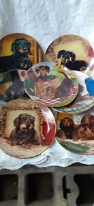 Dachshunds By Christopher Nick for Danbury Mint Set Of 7 Plates