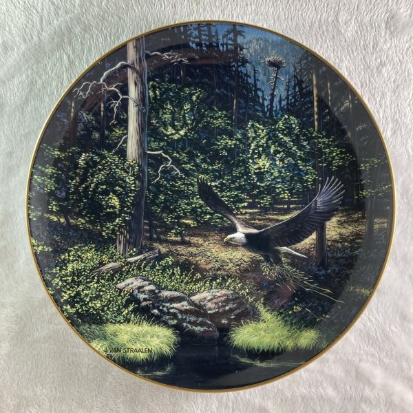 FOREST SENTINEL Plate Spirits of the Wild Camouflage Eagle's Nest Wolf & Bear