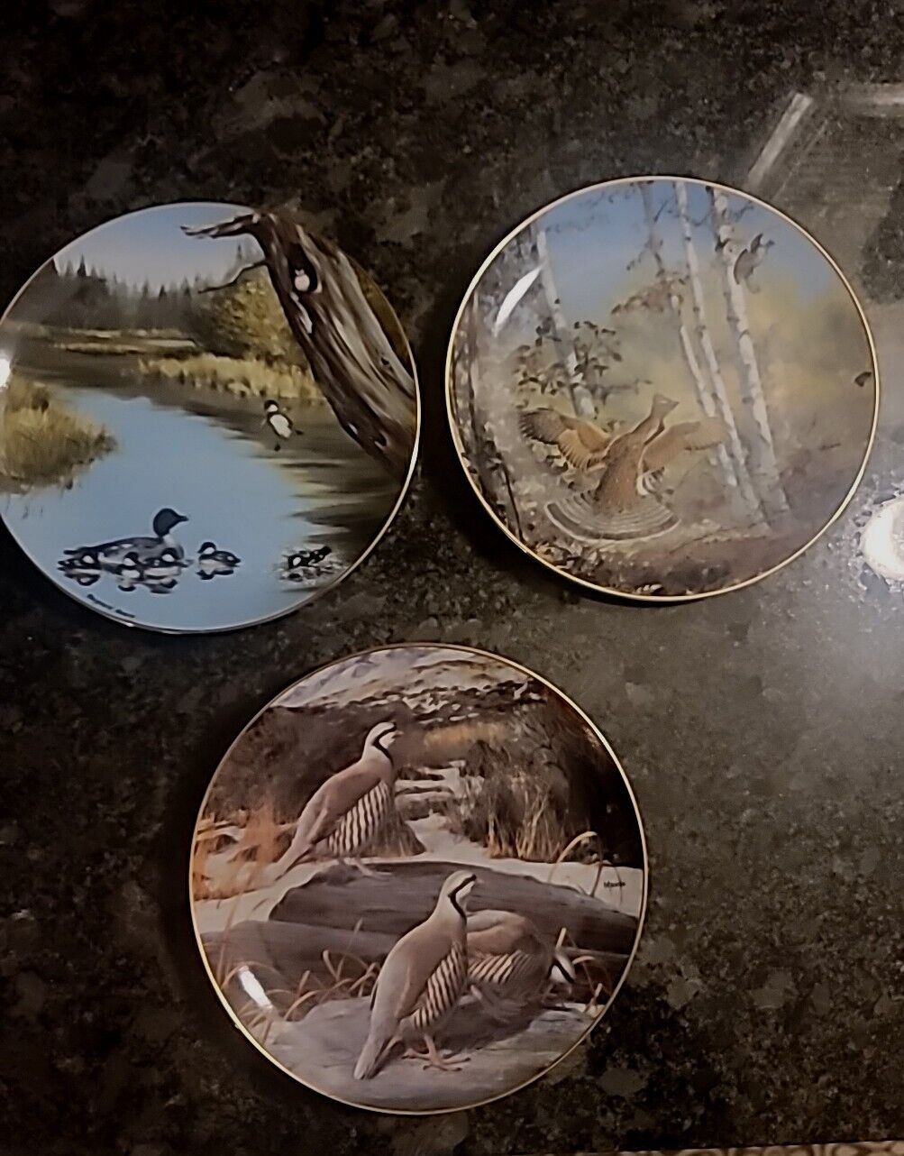 Set Of 3 Game Birds The Danbury Mint Collectors  WIld Bird Plates Home Decor