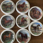 *RARE* Danbury Mint Champion Thoroughbred Collection