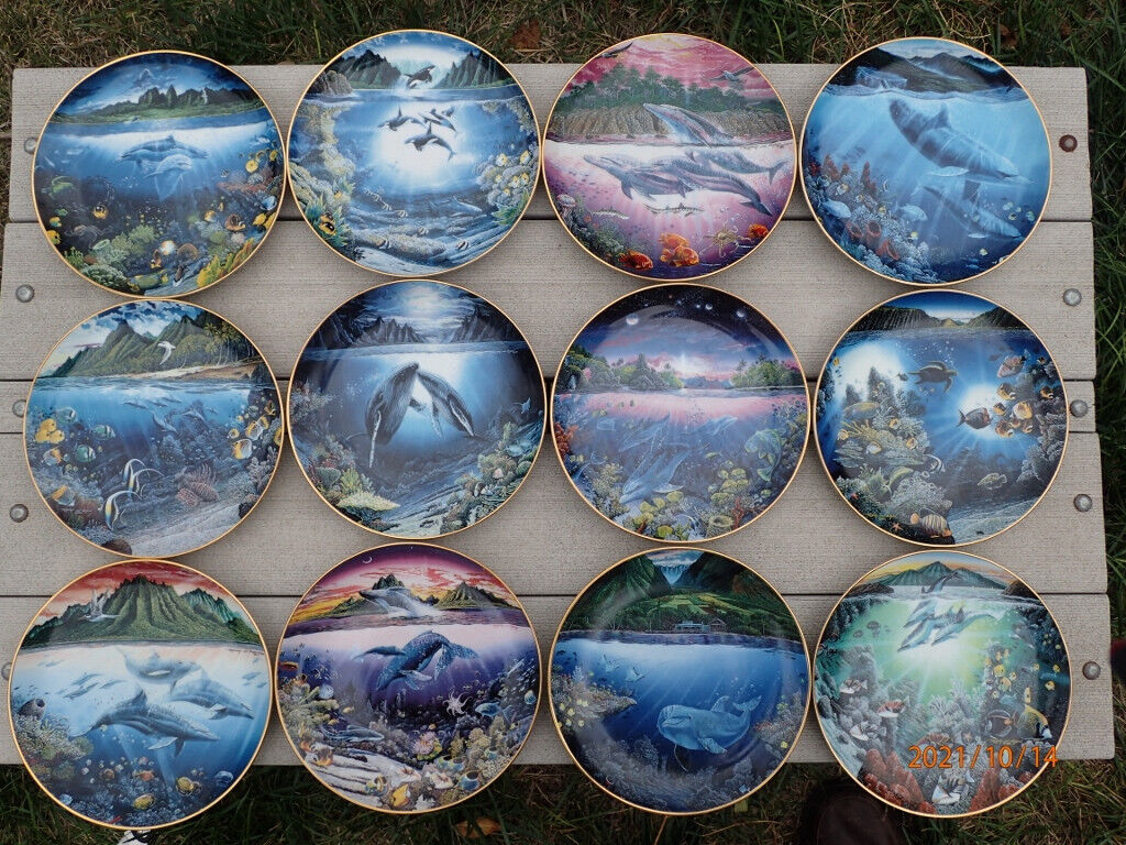 COMPLETE SET OF 12 UNDERWATER PARADISE PLATES BY DANBURY MINT - WHALES DOLPHINS