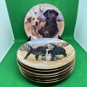 Jim Killen Wild Wings Danbury Mint Labrador Plates Complete Set #E3287 Of 8 RARE