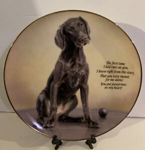 Danbury Mint Set Of 4 Cherished German Shorthaired Pointer Lt Ed Collect Plates