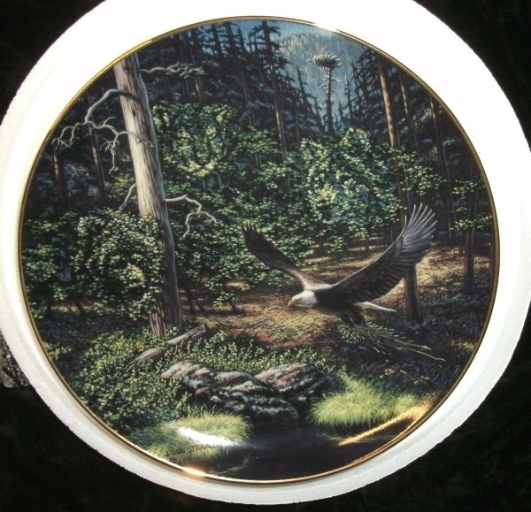 Eagle Plate--"Forest Sentinel"--John Van Straalen--Danbury Mint--FREE SHIPPING