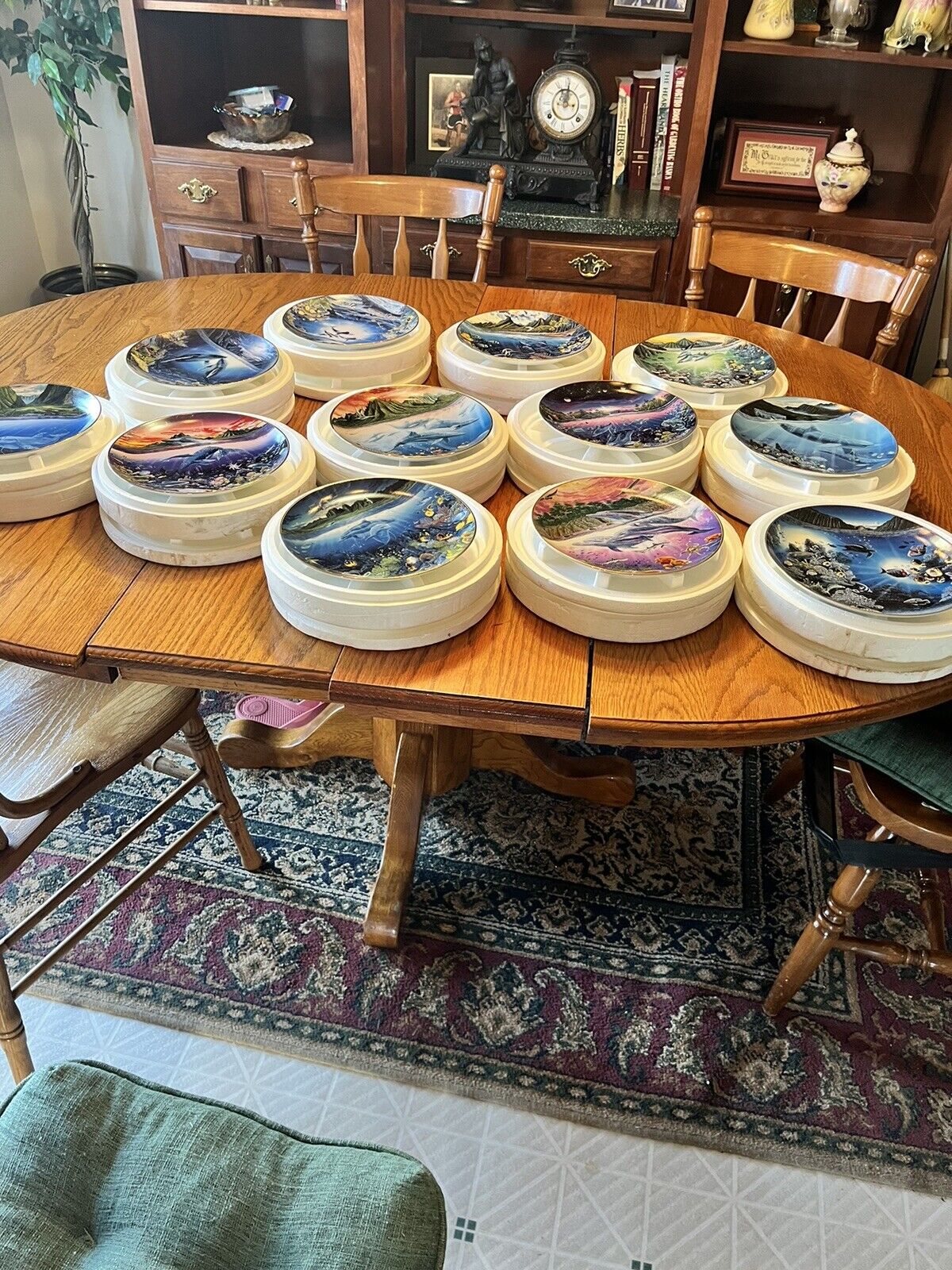 Complete Set Of 12: Danbury Mint Underwater Paradise Limited Edition