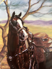 Danbury Mint 5 Plates Susie Morton On the Range Collectable Equestrian Horse
