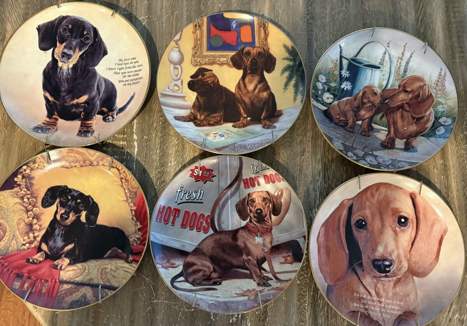6 Danbury Mint Dachshunds 8" Porcelain Decor Memory Plates