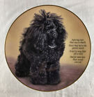 ADORING EYES Cherished Poodles Plate Danbury Mint Black Poodle Far More Love