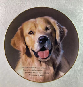 Cherished Golden Retrievers EYES OF LOVE Plate Danbury Mint Retriever Danbury