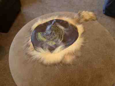 Walt Disney Davy Crockett Dispatch case and cap  SUPERB condition