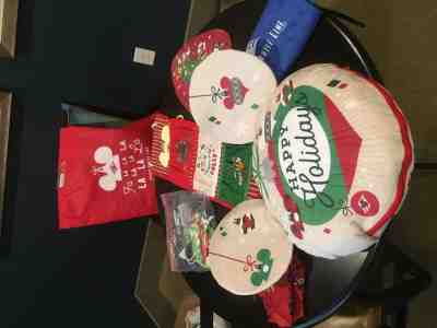 Disney Cruise Line DCL Merrytime Door Cabin Decorations