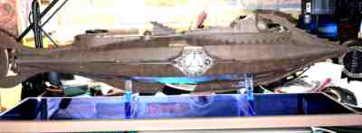 Nautilus DISNEY Submarine Master Replicas 20,000 Leagues Under the Sea RARE #103