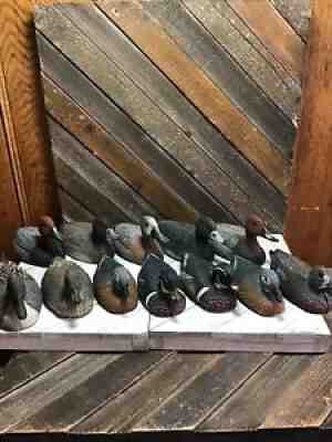 VINTAGE RARE Lot Of 12 CARRY-LITE SPORT PLAST SALESMAN SAMPLE DUCK Goose Decoy