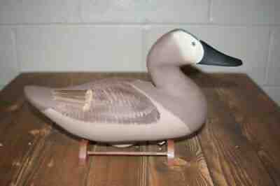 Vintage Clarence "Titbird" Bauer Canvasback Hen Decoy Havre de Grace Mitchell
