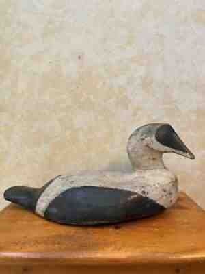 Common Eider Duck Decoy, Charles F. Jacob