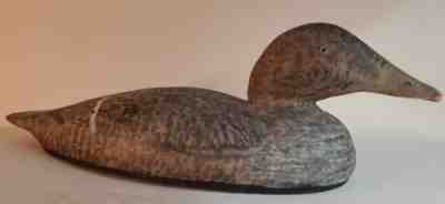 Antique Eider Hen Duck Decoy Hollow 17.5" Hand Carved Original Paint
