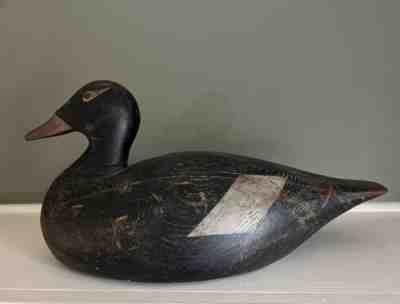 Early 1900â??s Antique Joe Lincoln Oversized White-Winged Scoter Duck Decoy Rare