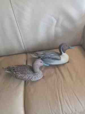 Ronnie Rue pintail decoys duck decoy Dorchester County Cambridge Maryland