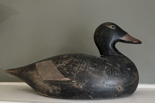 Antique Joe Lincoln Carved Wood Oversized Tack Eye Scoter Drake Duck Decoy