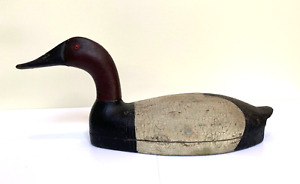 Antique Canvasback by Tobin Meldrum circa 1900
