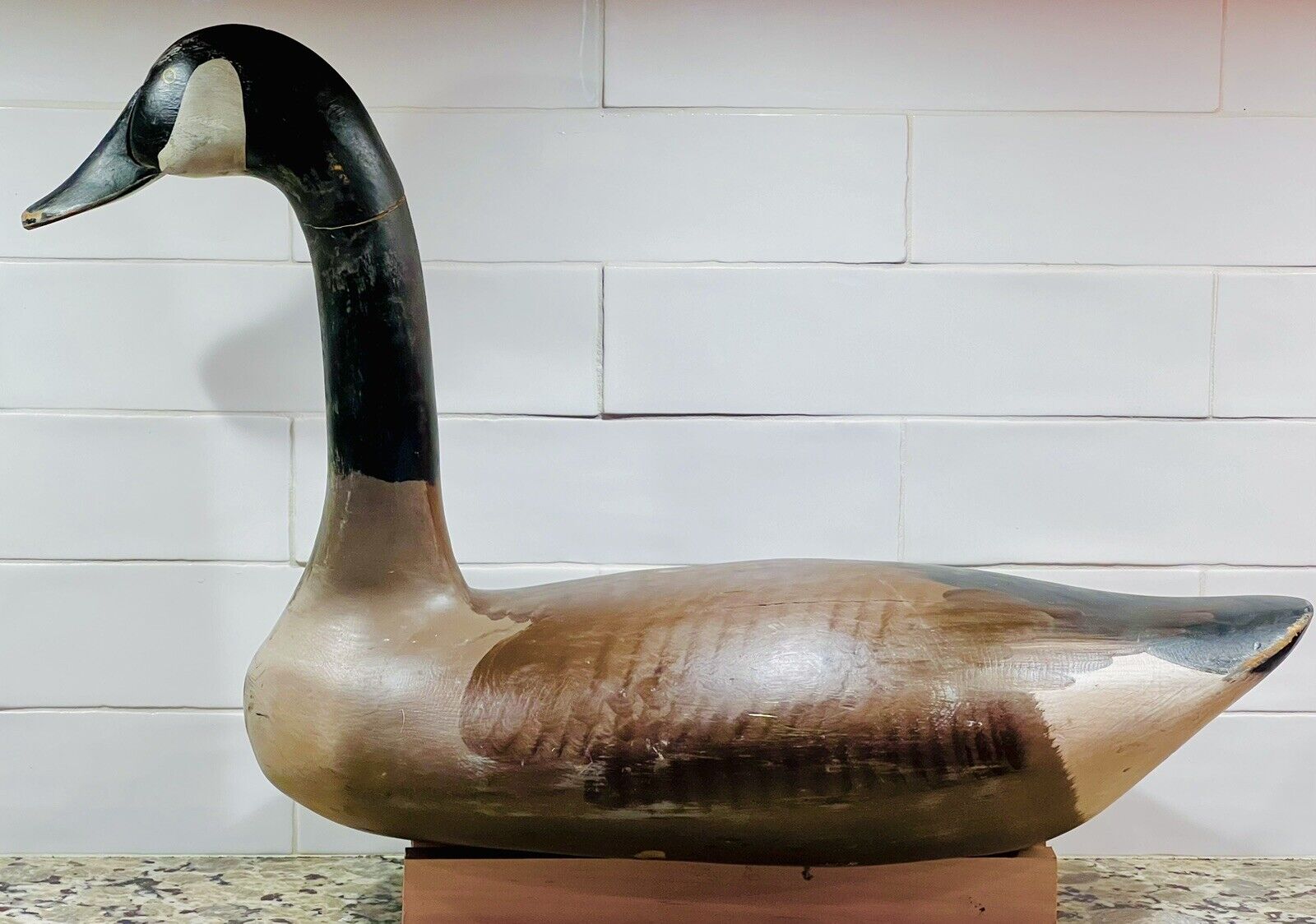 Attributed to Madison Mitchell (1901-93) Canada Goose Decoy, Havre de Grace, MD