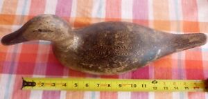 Pintail Duck Decoy, Hen Hollow Body, Higher Neck, 18 Inch, Original Paint  1915