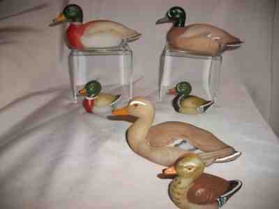 Fenton Natural Ducks Large and Mini Lot of 6--Marilyn Wagner