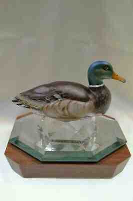 Fenton MALLARD DUCK White Satin Pntd NATURAL by Vicki Curren OOAK FREEusaSHIP