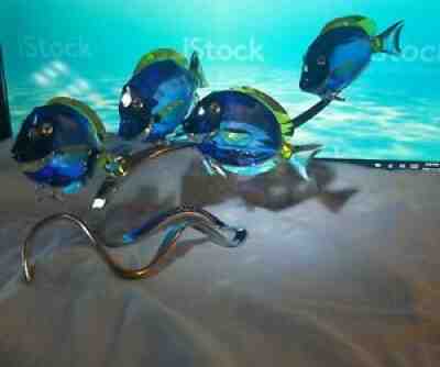 Swarovski Crystal Figurines School Of Surgeon Fish Scuba Blue