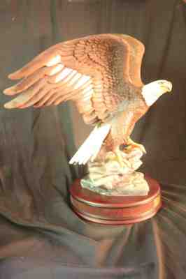 The Majestic American Eagle by Ronald Van Ruyckevelt, 