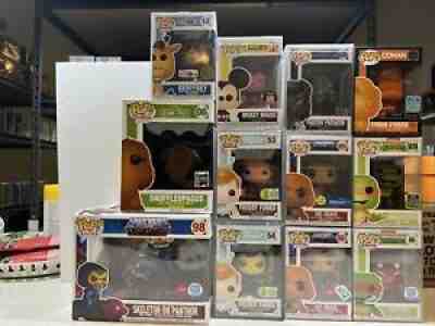 Funko Pop! Masters Of The Universe & TMNT 13 Pop Lot With Protectors