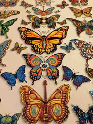DEAD & COMPANY ð ¹ð ¹poster 2019 Concert VIP Tour EMEK Print Butterfly Low # 101.