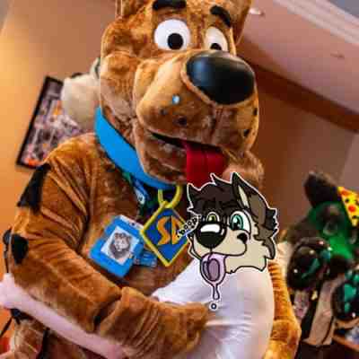 SCOOBY-DOO PROFESSIONAL MASCOT HAND MADE