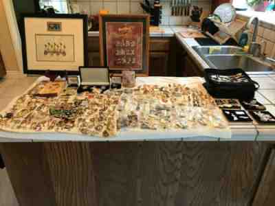 384 Hard ROCK Cafe Pins Lot (1990-2014)