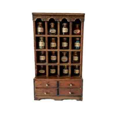 Harry Potter Inspired Severus Snapes Potions Cabinet