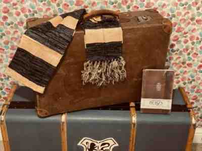 Harry Potter ?¡ Fantastic Beasts - Newt Scamander Inspired Suitcase ð?¦¡ ð?§³