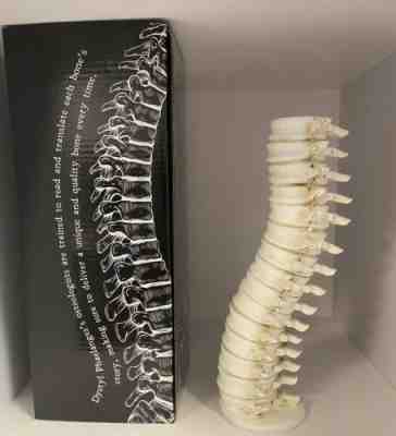 Rare Harry Potter PROMO AZKABAN LUPIN Spine VERTEBRAE CANDLE Holder DARK ARTS!!